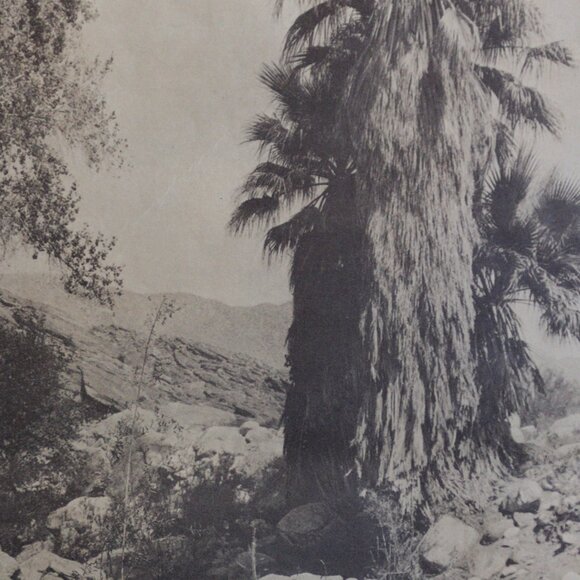 ANDRÉS CAÑON #82 Edward Sheriff Curtis Print - Picture 5 of 9